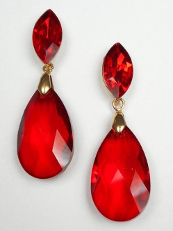 Fashion Earrings